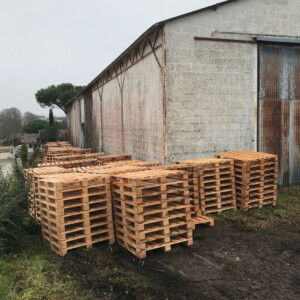 New pallets for export