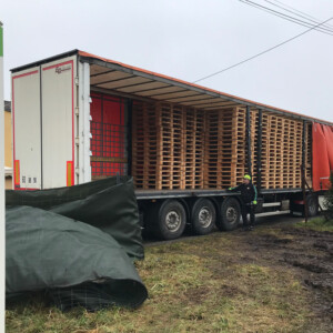 New pallets for export